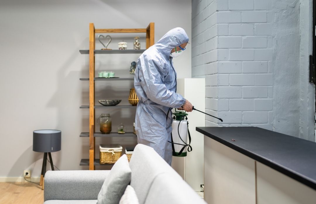 Técnico realizando dedetização profissional em residência de Mococa SP — Truly Nolen